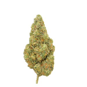 GAS BOY FLOWER 3.5G