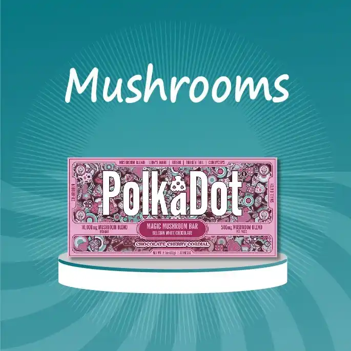 Mushrooms Polka Dot
